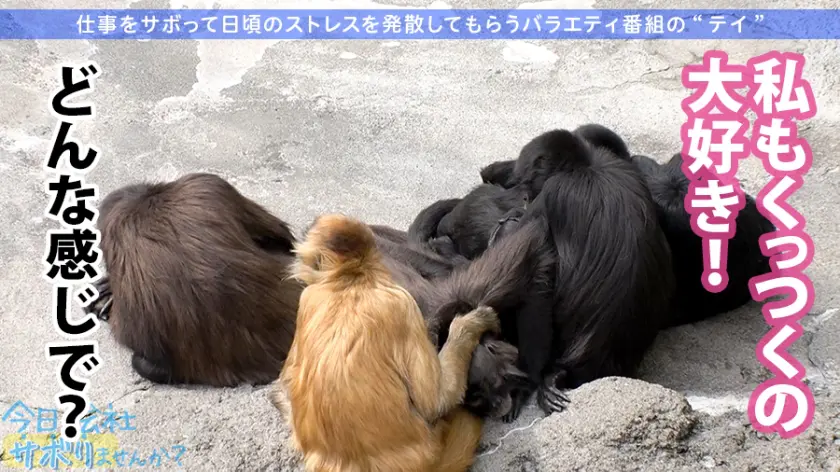  【Fカップ20歳発情中】中野で働く美少… 岬あずさ (300MIUM-585)-11