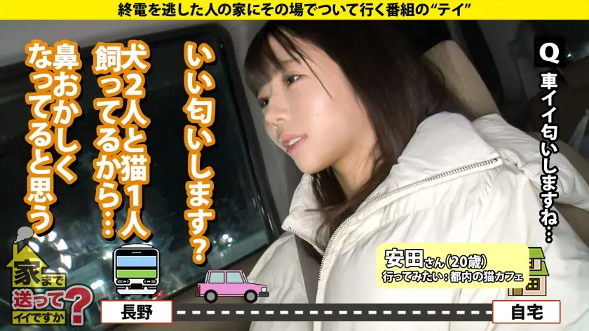  家まで送ってイイですか？case.24… 葉月みい (277DCV-256)-5